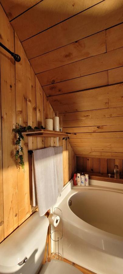 Ocean Views & Sunset Beach Cabin With Soaker Tub & Fire Pit Villa Powell River Exterior photo
